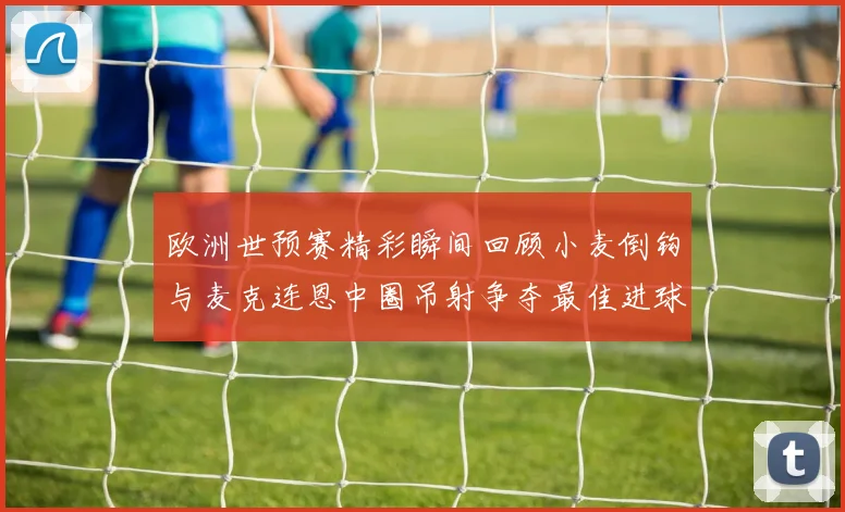 欧洲世预赛精彩瞬间回顾小麦倒钩与麦克连恩中圈吊射争夺最佳进球