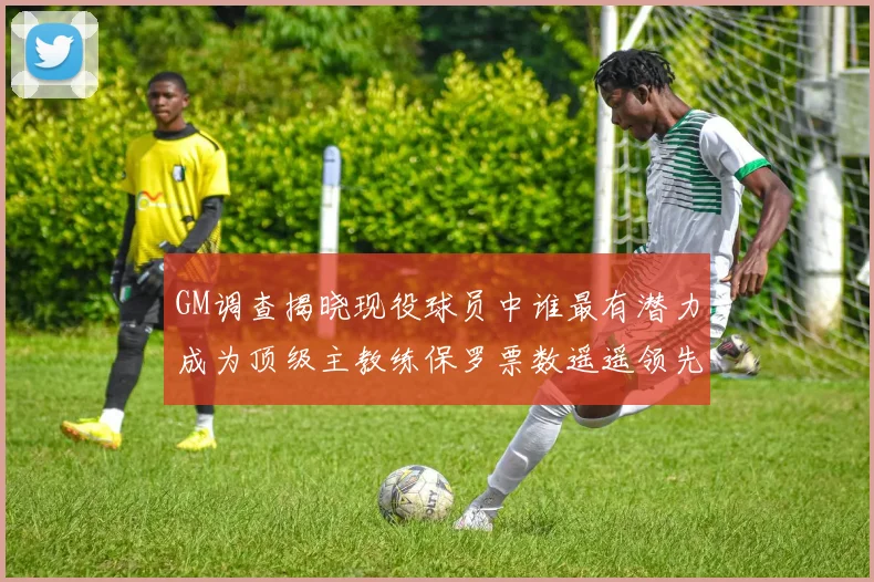 GM调查揭晓现役球员中谁最有潜力成为顶级主教练保罗票数遥遥领先